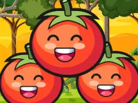 Tomato Ketchup image