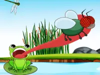 Hungry Frog image