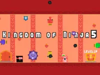 Kingdom of Ninja 5 image