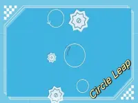 CircleLeap image