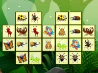 Connect The Insects image