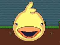 DuckWAK image