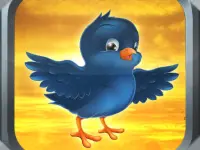 Bird Fly image