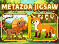 image bg Metazoa Jigsaw