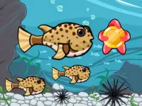 image bg Run Fish Run
