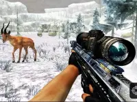 Sniper Hunting Jungle 2022 image