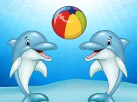 Dolphin Show image
