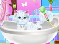 Pet Groomer image