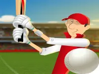 image bg stick cricket