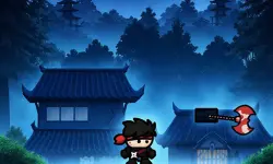 Ninja Warrior Game image