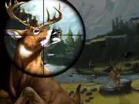 Deer Hunter image