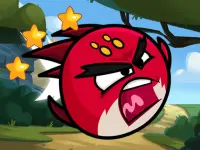 image bg Hero Birds Hidden Stars