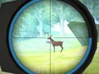 Hunter image