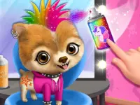 Rock Star Animal Hair Salon image