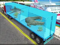 image bg Transport Sea Animal