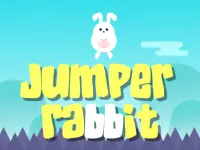 image bg Jumper Rabbit