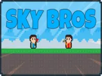 Sky Bros image
