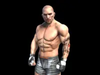 Fight Arena Online image