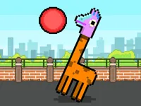 image bg Volley Lama