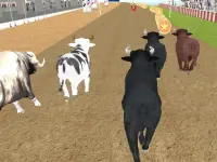 Bull Racing image