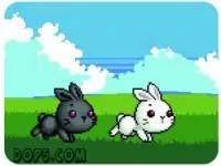 Bu Bunny Two Rabbit image