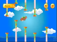 Bear Flight image