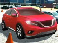 CIty Stunt Driving image