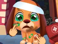 Stray Puppy Pet Care image