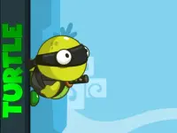 image bg Turtle