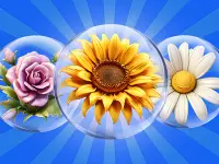 Dice Puzzle Flowers! image