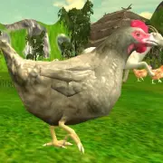 Chicken Cs Unblocked