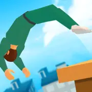 Crazy Flip 3d