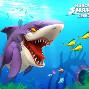 Shark Hotel Game