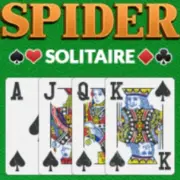 Spider Solitaire 2 Suits